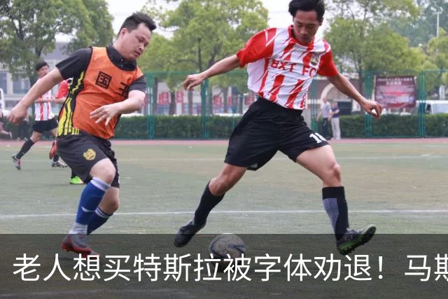 老人想买特斯拉被字体劝退！马斯克秒回：加 马上加