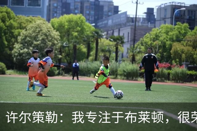 许尔策勒：我专注于布莱顿，很荣幸身处一个良好的执教环境