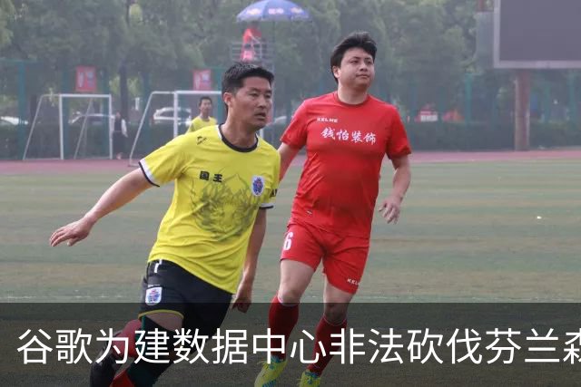 谷歌为建数据中心非法砍伐芬兰森林25万棵树，狼群被迫进村觅食