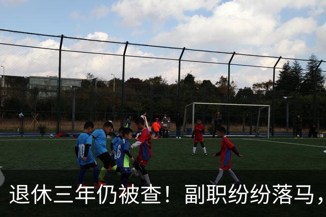 退休三年仍被查！副职纷纷落马，正职去哪了？