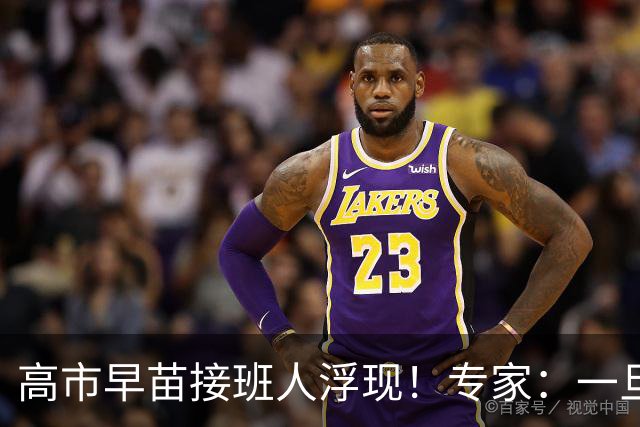 高市早苗接班人浮现！专家：一旦他上台，中日关系将迎重大利好
